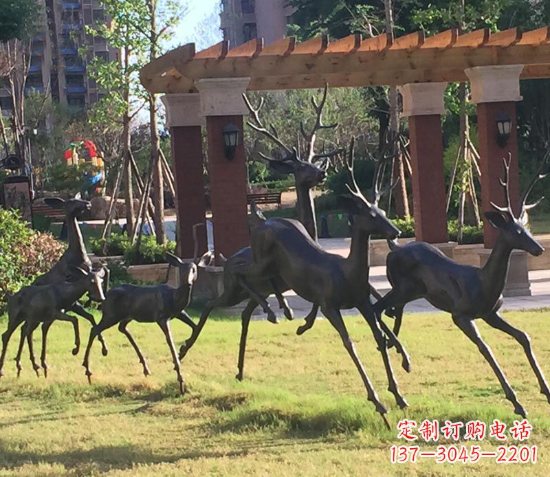 成都“梅花鹿传递自由与美好”