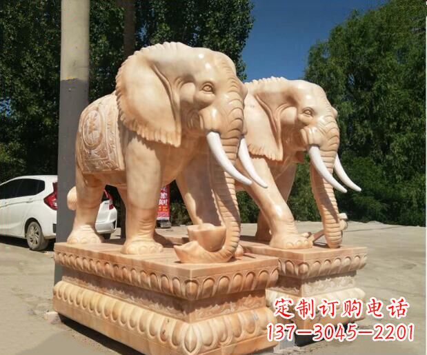 成都大象晚霞