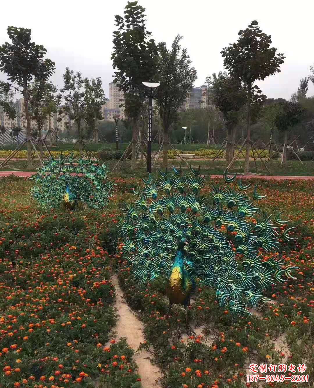 成都不锈钢彩绘孔雀雕塑
