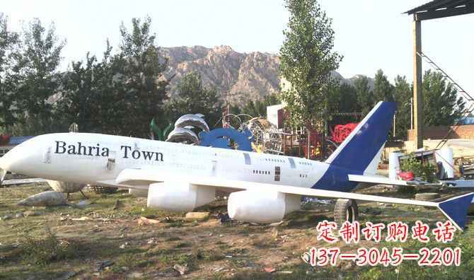 成都静静躺在大地上的不锈钢飞机雕塑
