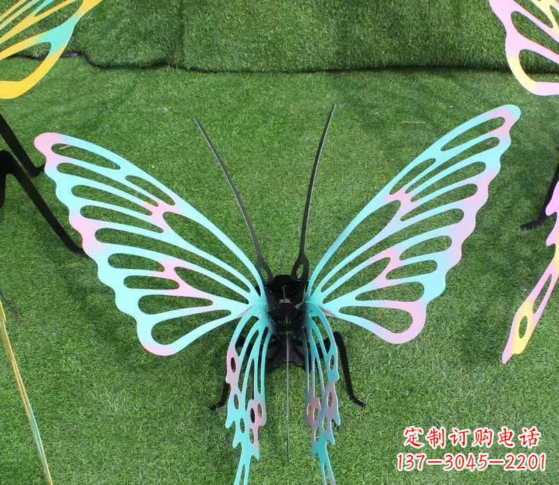 成都彩色不锈钢镂空蝴蝶雕塑精美又充满生机