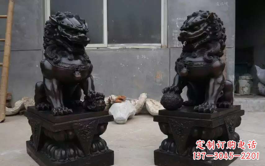 成都踩球镇的狮子之家