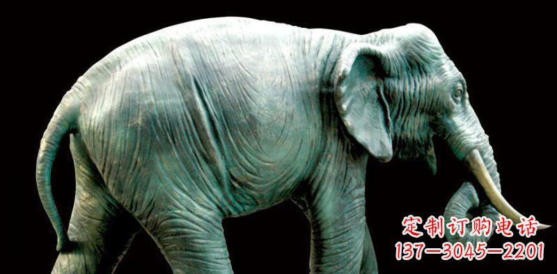 成都公园大象动物铜雕 (3)