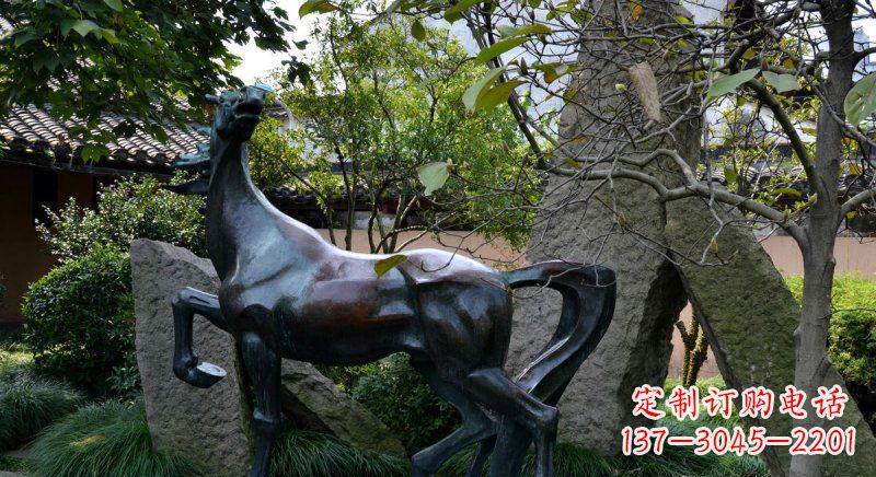 成都公园马动物铜雕 (6)