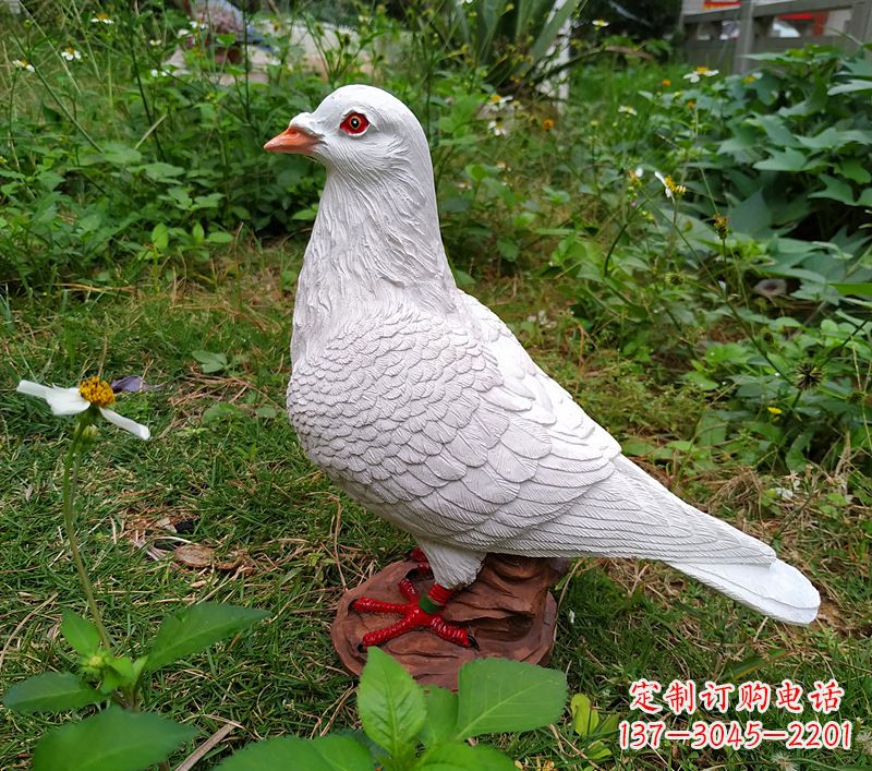 成都为和平献芳礼：精美少女与和平鸽雕塑