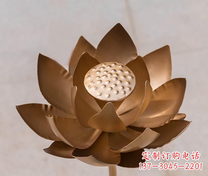 成都铜雕景观荷花