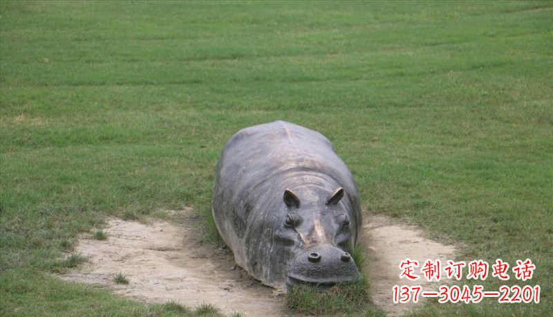 成都铜雕趴着的河马