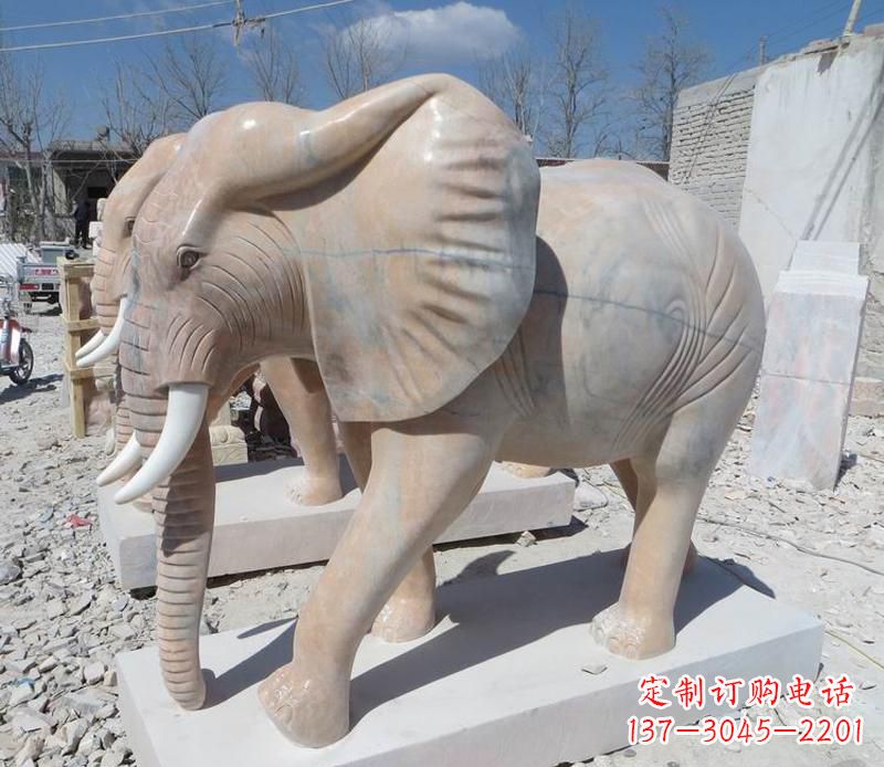 成都晚霞红卷鼻大象
