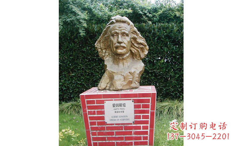 成都西方名人爱因斯坦头像铜雕