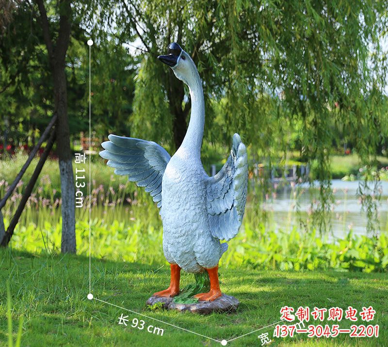 成都站立的灰色展翅天鹅